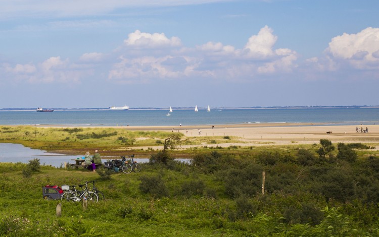 Natuur