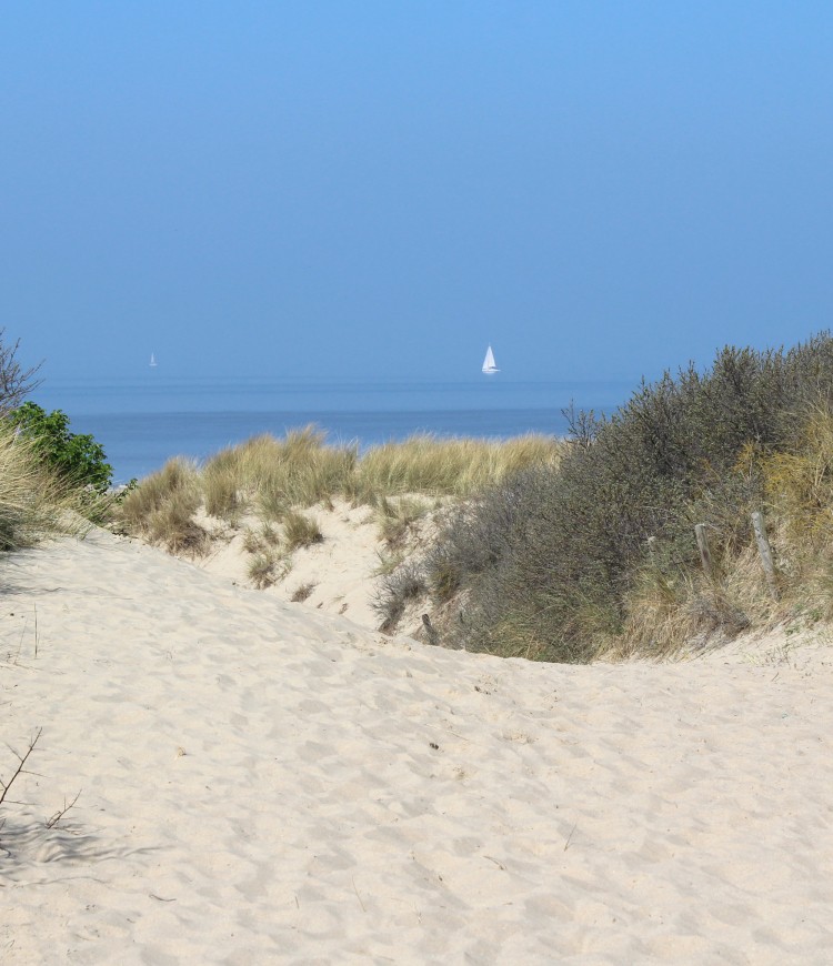 Duinen cadzand