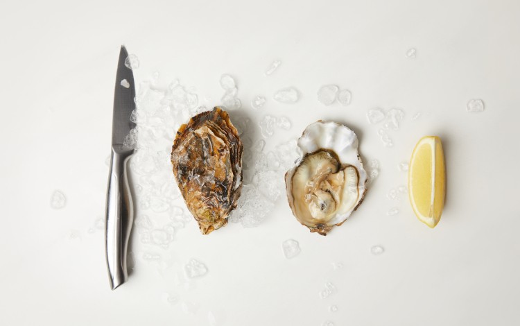 Oesters Zeeland 4.jpg