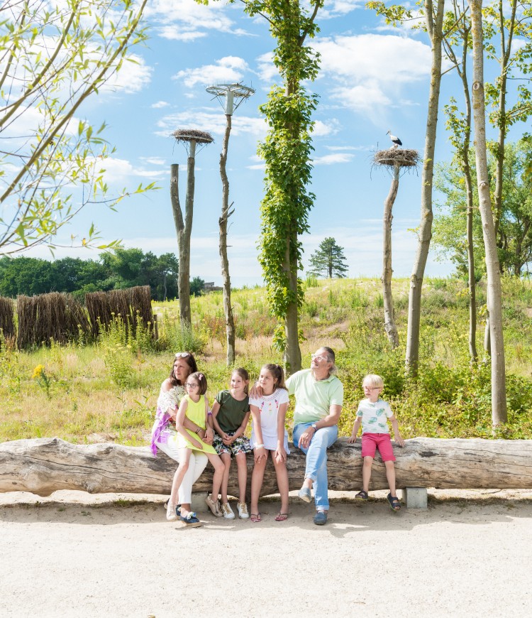 Familie Ooievaar - Zwin