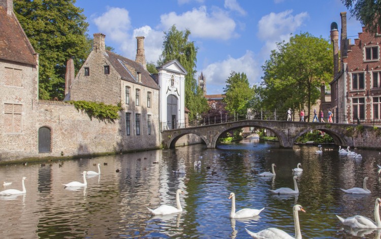 Brugge - Begijnhof - Zwanen