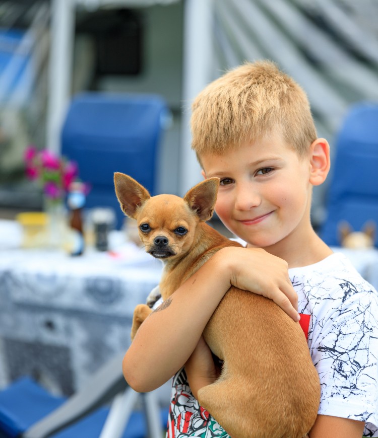 Honden toegestaan bij de Zwinhoeve