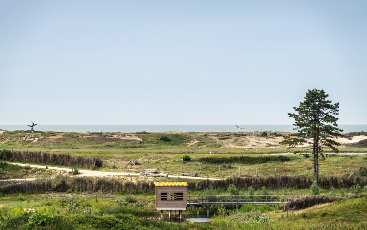 Het Zwin