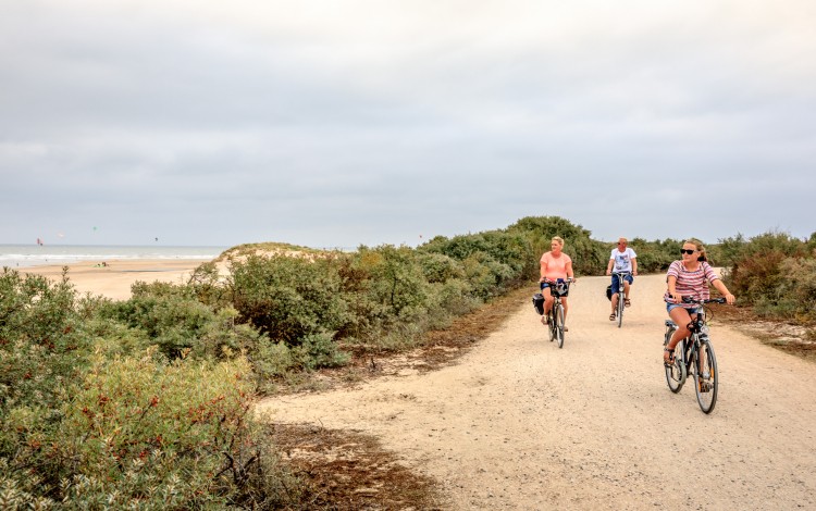 Fietsen op het duinpad