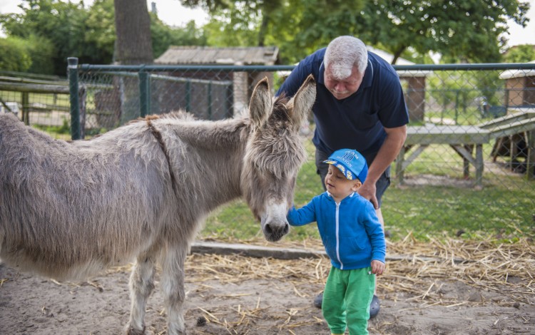 Speelboerderij Pierewiet
