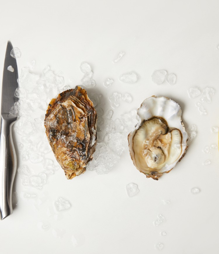 Oesters Zeeland 4.jpg