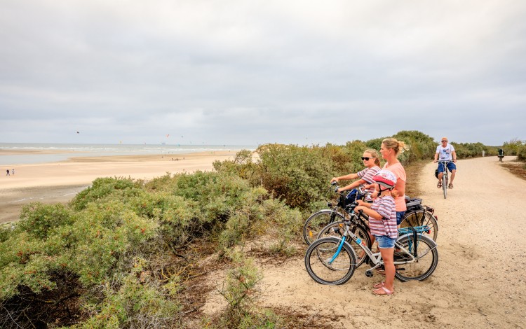 Fietsen langs het Zwin