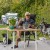Sfeerbeeld camperplaats?