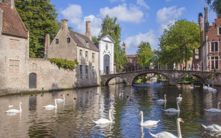 Brugge - Begijnhof - Zwanen