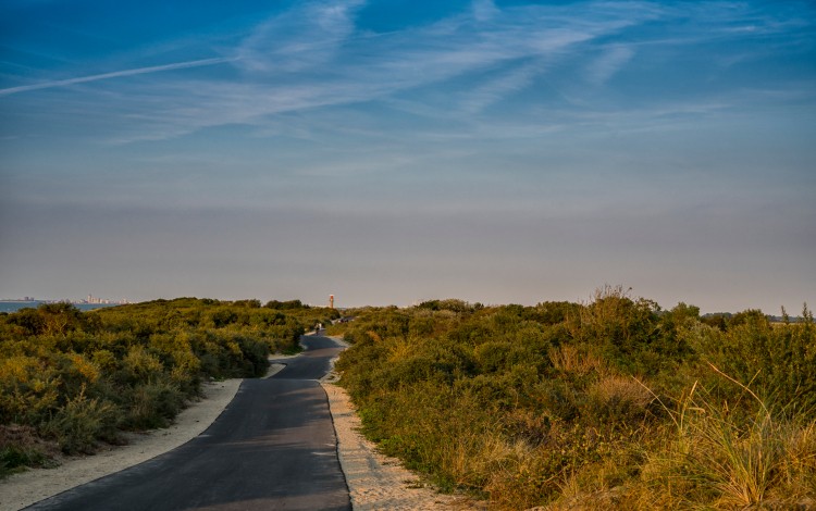 Pad door de duinen