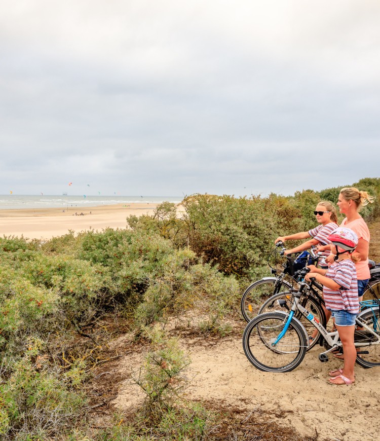 Fietsen langs het Zwin