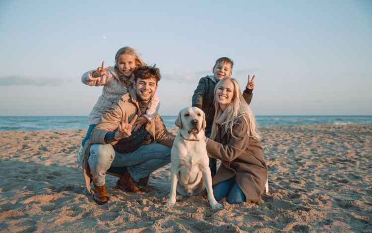 Camping aan zee met hond in Zeeland