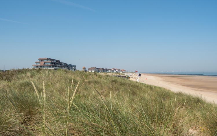 Strand het zwin