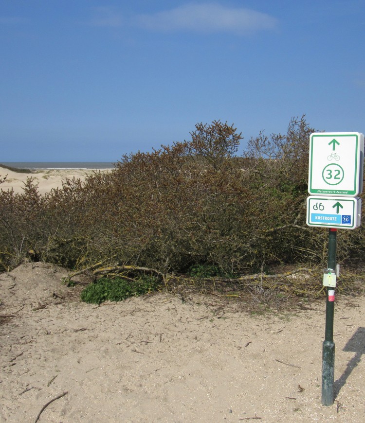 Fietsknooppunt 32 op het duin 2021